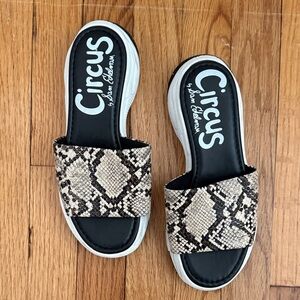 Circus NY by Sam Edelman Women's Arial Sandal platform snake skin snake-print 7